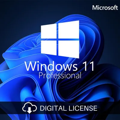 Productafbeelding van Microsoft Windows 11 Pro - Licentie - 1 licentie - OEM - DVD