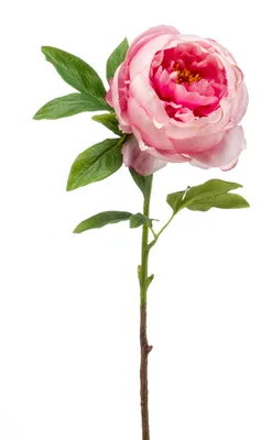 Immagine prodotto di Peonia artificiale con 1 fiore rosa H. 63 cm Emerald Fiori artificiali