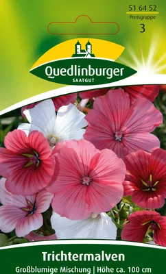 Produktbild von Trichtermalve, Großblumige Mischung