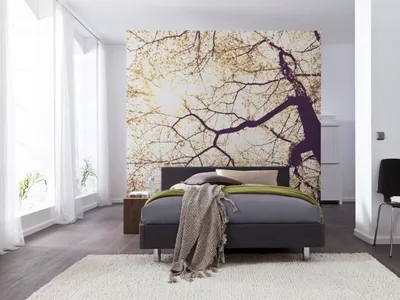 Produktbild von Komar Vlies Fototapete "Sunshine", braun/lila , 250 x 250 cm; V5-752