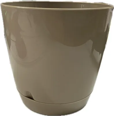 Immagine prodotto di Z/P Begonia in vaso Beige