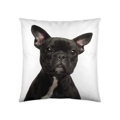 Produktbild von etérea Dekokissen Kissenhülle Hund Bulldogge Schwarz 40x40 cm Taupe 100%