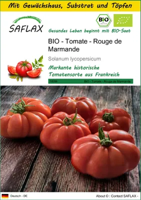 Produktbild von SAFLAX Anzucht Set - BIO - Tomate - Rouge de Marmande - Solanum lycopersicum - 10 Samen - Mit Mini-Gewächshaus, Anzuchtsubstrat und 2 Töpfen