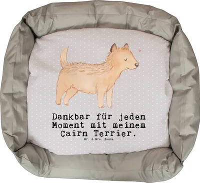 Produktbild von Mr. & Mrs. Panda Hundekissen Cairn Terrier Moment - Grau Pastell - Geschenk, Muttertag, Ostern, Valentinstag, Weihnachten, Hund, Vatertag