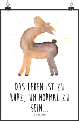 Produktbild von Mr. & Mrs. Panda Bild Lama Stolz DIN A0 - Weiß - Geschenk, drucke, kunstdruck poster, Lamas, Neustart, Familie, Family, Freundin, Wandbild, wanddeko