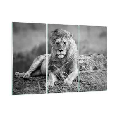 Produktbild von Bilder auf glas - Löwe Tier Natur - 165x110cm - Glasbilder - Wandbilder - Kunstdruck - zum Aufhängen bereit - Wanddekoration aus Glas - Glas Bilder - Wandbild auf Glas - 3 Teile - GCE165x110-3931