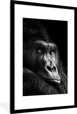 Produktbild von MuchoWow® Gerahmtes Poster Gorilla - Affe - Schwarz - Weiß - Porträt 60x90 cm - Poster mit Schwarzem Bilderrahmen Wandposter Rahmen Foto Bilder - Dekoration - Wandposter Wohnzimmer - Hochwertig