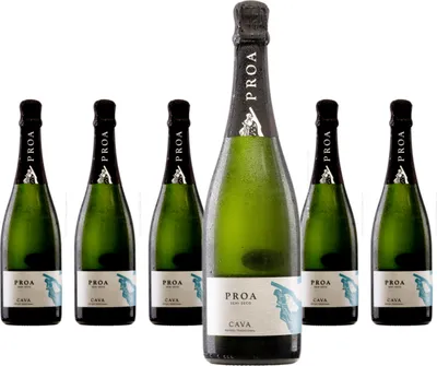 Produktbild von 6 x Vallformosa Cava Proa Semi Seco
