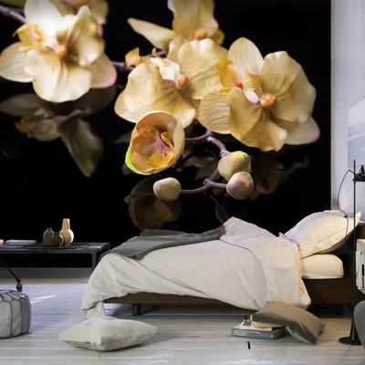 Produktbild von Basera Fototapete Orchideenmotiv 100406-143, Vliestapete, 200x154 cm
