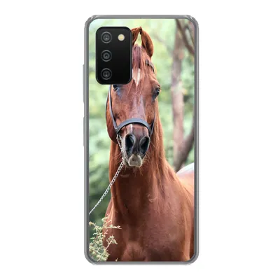 Produktbild von MuchoWow® Handyhülle Schutzhülle Hülle für Samsung Galaxy A03s Pferd - Wald - Halfter Silikon Softcase Handy Hülle - Schutz