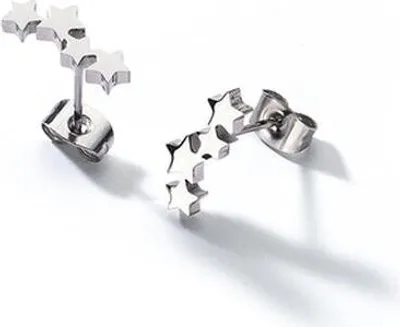 Produktbild von Damenohrringe AN Jewels ADC.E02S