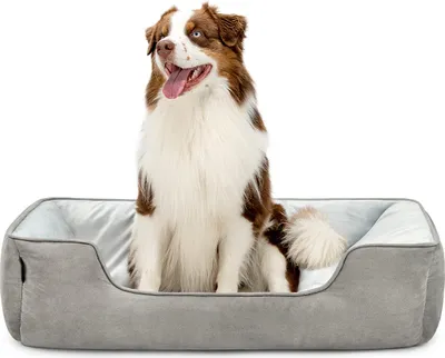 Produktbild von lionto Hundebett – 2-in-1 Wendekörbchen, weich gepolstert & pflegeleicht, mit tiefem Einstieg, 110x80 cm, hellgrau/dunkelgrau