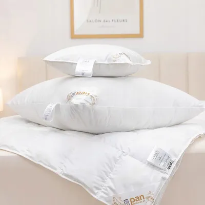 Produktbild von PAN MATERAC DELICATE Daunenkissen 40x40 cm weich