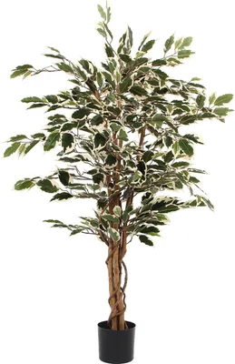 Produktbild von Mica Decorations Ficus Kunstpflanze - H110 x Ø70 cm - Grün bunt