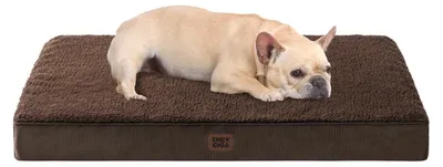 Produktbild von Orthopädisches Hundebett 76x51cm Waschbar Braun