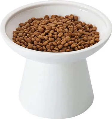 Image de Grande gamelle pour chat en céramique, 15,7 cm, blanche, haute