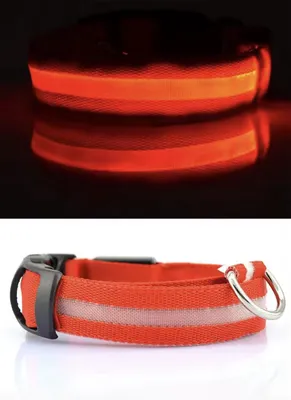 Produktbild von CHPN - Hunde-LED-Halsband - LED-Halsband für Hunde - Leuchthalsband - Hundehalsband - Halsband - Rot - S - 35-43 cm - Tierhalsband - Halsband - 1 Halsband