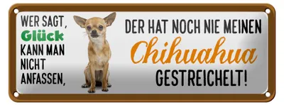 Produktbild von Blechschild Spruch 27x10cm Chihuahua Hund gestreichelt Dekoration