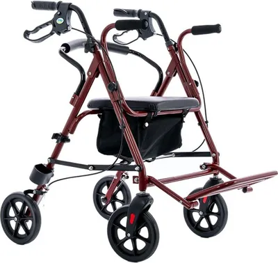 Image de Promenoir à quatre roues avec fonction siège