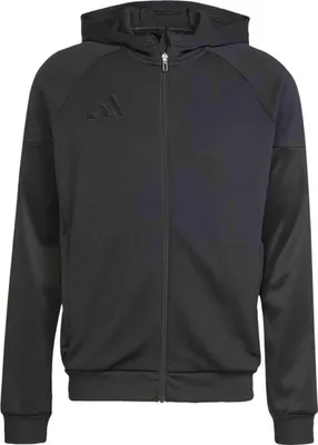 Zdjęcie produktu dla Bluza z kapturem Adidas JD9078 dla Męskie