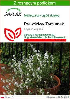 Zdjęcie produktu dla SAFLAX - Prawdziwy Tymianek - 200 Nasiona - Z podłożem uprawowym wolnym od zarazków - Thymus vulgaris