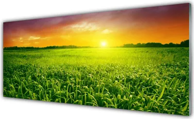 Produktbild von Glasbilder 125x50 Wandbild Druck auf Glas Getreidefeld Sonnenaufgang Pflanzen