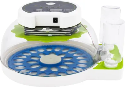 Image de Incubateur pour œufs de caille, capacité de 33 œufs, affichage numérique LED, vert et bleu, L