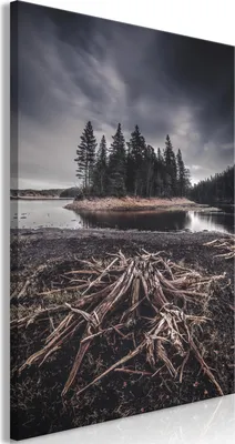 Produktbild von Vliesstoff Leinwandbild - Wooded Island (1 Part) Vertical 60x90 cm Landschaften c-B-0597-b-a