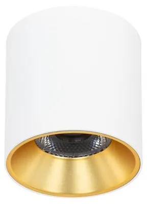 Obrázek produktu pro Bodové LED svítidlo pro povrchovou montáž 10W ALTISMA CLN-6677-75-WH-GD-3K Italux