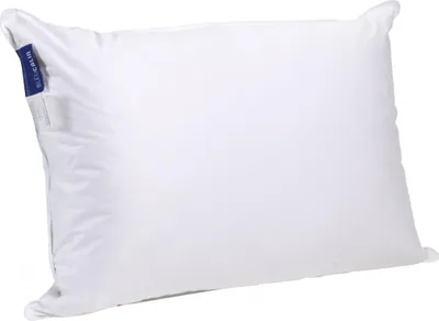 Image de Bleu Calin Oreiller Moelleux Naturel 90% Duvet de Canard 50x70cm