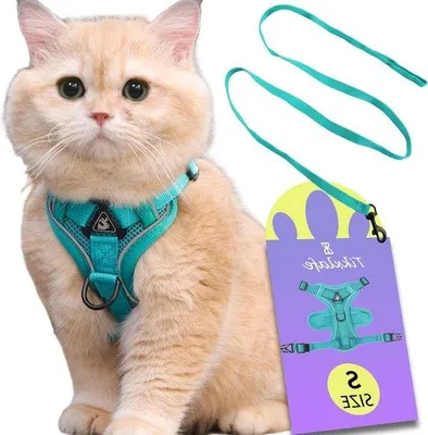 Produktbild von Famanu Katzenharnasset mit verstellbarer Leine - Blau