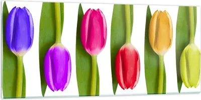 Produktbild von Bilder auf glas - Tulpe Blume Garten Komposition - 120x50cm - Glasbilder - Wandbilder - Kunstdruck - zum Aufhängen bereit - Wanddekoration aus Glas - Glas Bilder - Wandbild auf Glas - GAB120x50-2360