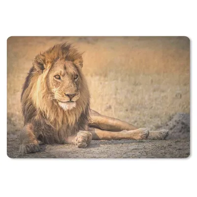Produktbild von MuchoWow® Schreibtischunterlage Löwe - Nahaufnahme - Savanne 60x40 cm - XXL Mauspad - Großes Mauspad