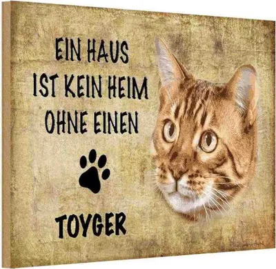 Produktbild von vianmo Holzschild 20x30 cm Toyger Katze ohne kein Heim Tier Haustier