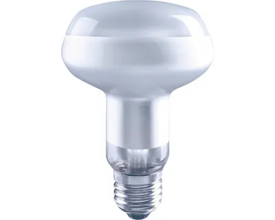 Obrázek produktu pro LED žárovka FLAIR R80 E27 / 7 W ( 46 W ) 580 lm 6500 K matná stmívatelná