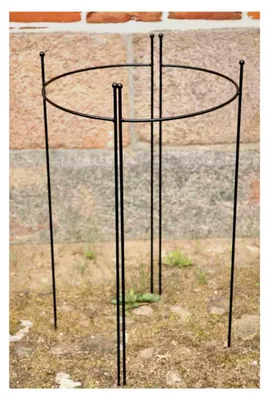 Produktbild von 2er Set halbrunde Staudenhalter, Höhe 90cm, Breite 45cm, Schwarz pulverbeschichtet