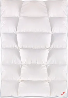 Produktbild von Paradies Daunendecke 155x220 cm Winter Decke "Safina 100" RDS Gänsedaunen mit 100% Gänsedaunen 100% Baumwolle Premiumdecke Hoteldecke Winterdecke