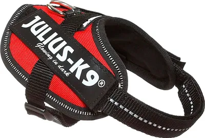 Image de Julius K9 - Harnais pour chien - rouge - Baby 1 - 29-36 cm
