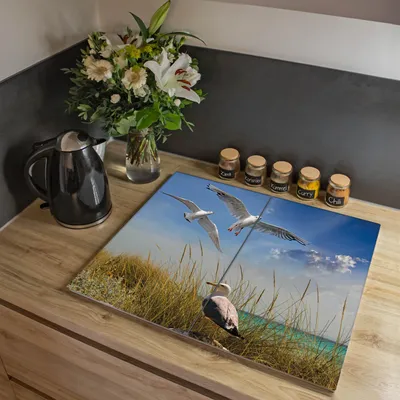 Produktbild von banjado Herdabdeckplatte zweiteilig je 30x52cm groß mit Gummi Abstandshalter, ESG Sicherheitsglas mit Motiv Möwen [HAP2 10494]