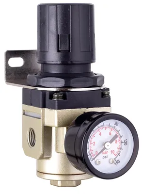 Zdjęcie produktu dla Ar3000-02 z manometrem nadmiarowym 1/4"