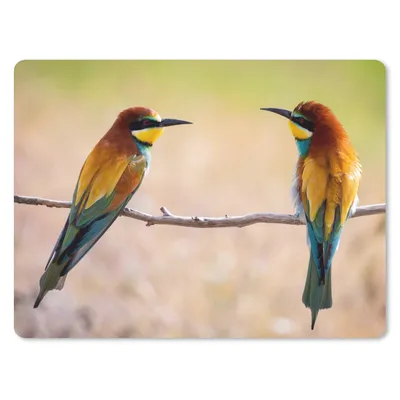 Produktbild von MuchoWow® Mauspad Mousepad Vögel - Bienenfresser - Tiere 23x19 cm - Mousepads - Maus Mat - Pad - Mausunterlage - Schreibtischunterlage - Mauspad