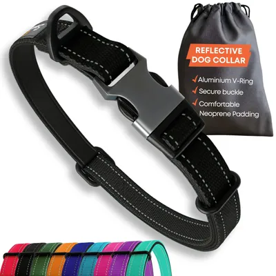 Productafbeelding van Sweetie Hondenhalsband, gevoerd, maat S - Reflecterende hondenhalsband voor kleine honden