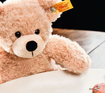 Zdjęcie produktu dla Steiff Miś Fynn 28 cm