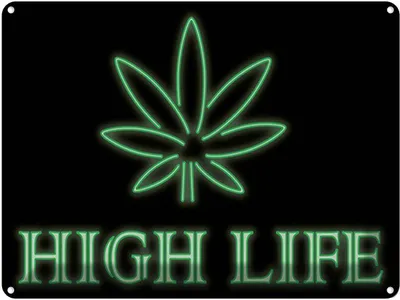 Produktbild von vianmo Blechschild 30x40 cm High Life Cannabis