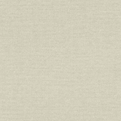 Produktbild von Rasch Vliestapete Color Your Life 312140 Uni Einfarbig Tapete 10.05 x 0.53 m Grau Wohnen Schlafen Küche Flur Eingangsbereich