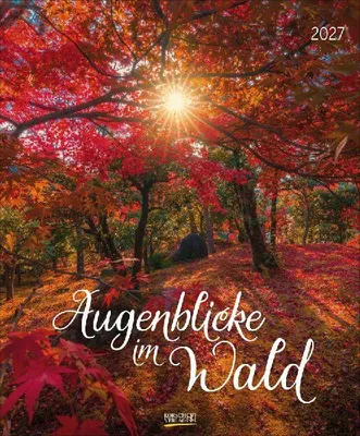 Produktbild von Korsch Kalender 2027 Augenblicke im Wald Großformat