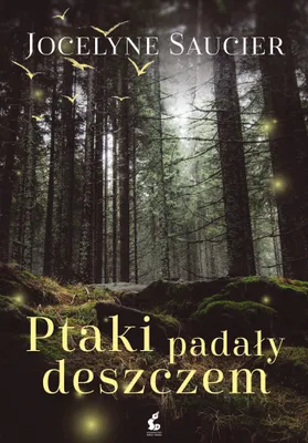 Produktbild von Ptaki padaly deszczem
