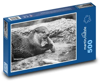 Obrázok produktu pre Puzzle 500 Vydra si pochutnáva na rybe - martinpuzzle