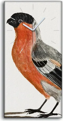 Produktbild von Dekor Leinwand Uhr Wandbilder Geräuschlos 30x60 Zeichnung Tier Vogel Kunst - weiße Hände