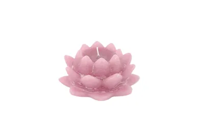 Produktbild von Rasteli Luz Your Kerze Seerose Lila-Flieder D 8 cm H 13,5 cm